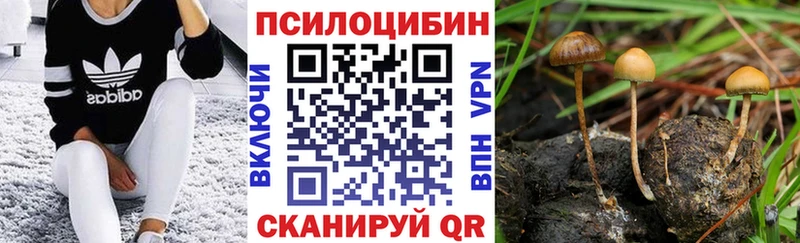 kraken   Ханты-Мансийск  Галлюциногенные грибы Cubensis 